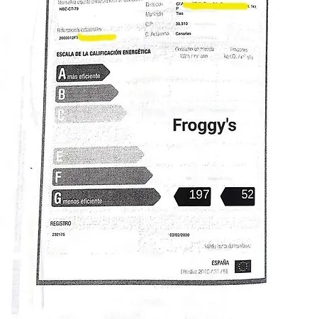 Apartment Froggy's